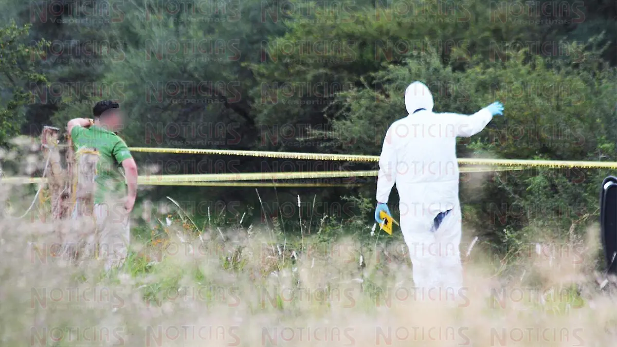 WhatsApp Image 2019-11-06 at 2.09.38 PM