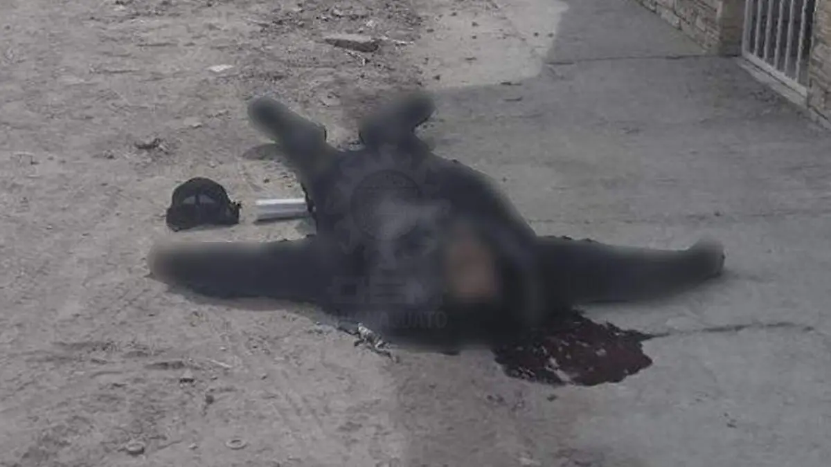 WhatsApp Image 2021-02-24 at 4.50.10 PM