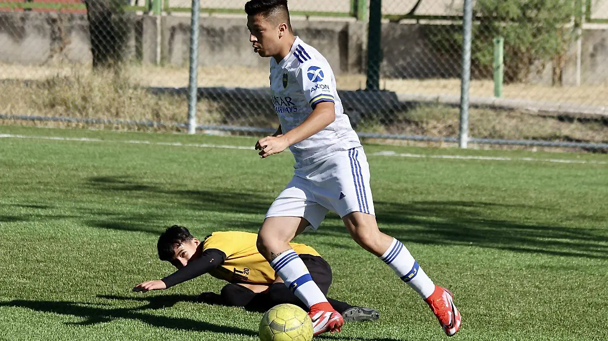 liga-estudiantil (1)