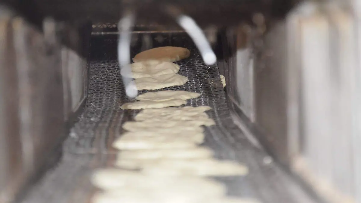 tortilla (2)
