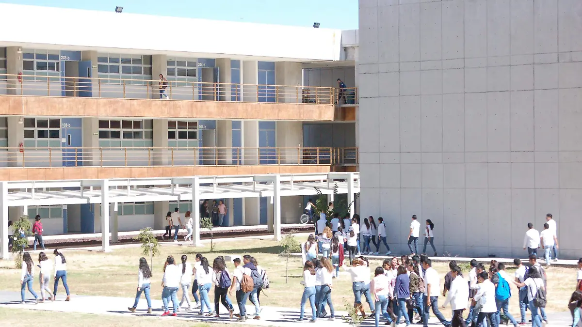 ENES - ARCHIVO SOL DE LEON (4)