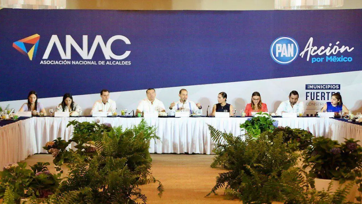 Image 2022-06-11 at 5.27.14 PM (4)