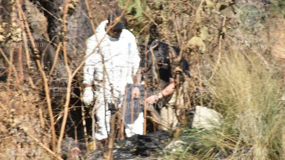 WhatsApp Image 2021-03-17 at 9.54.28 AM