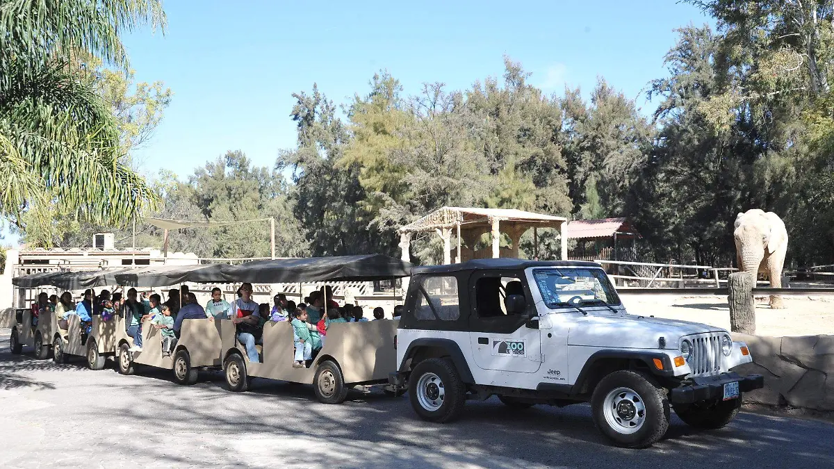 ZOO (3)