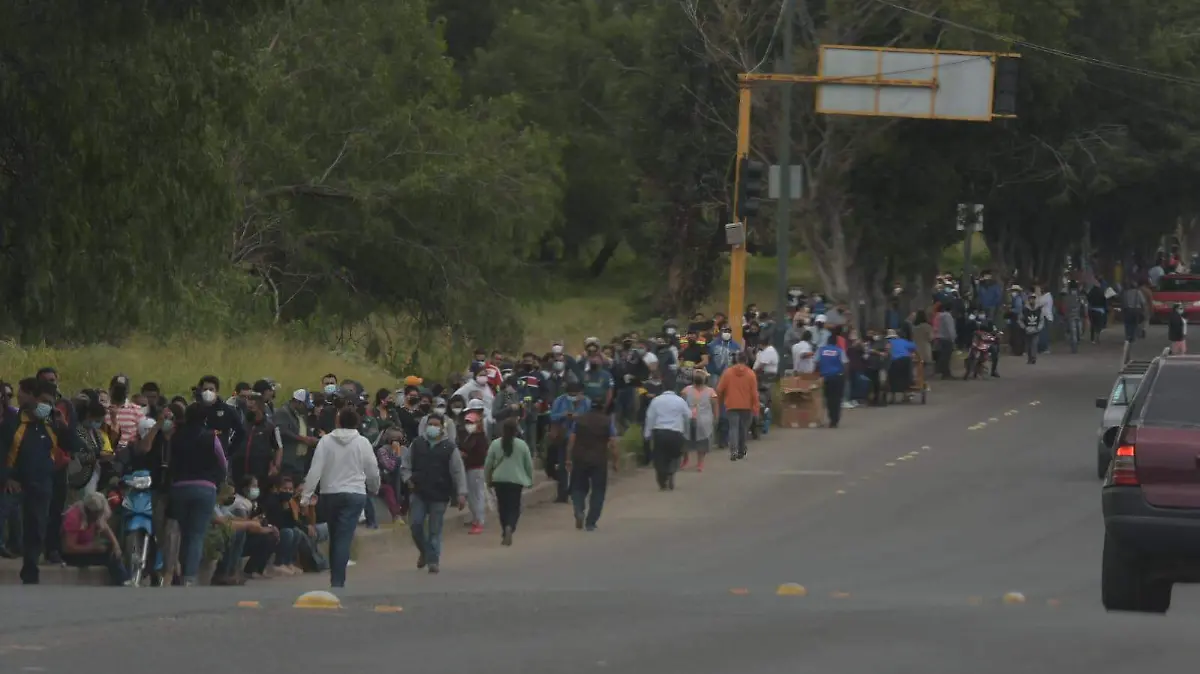 vacunacion-en-irapuato (5)