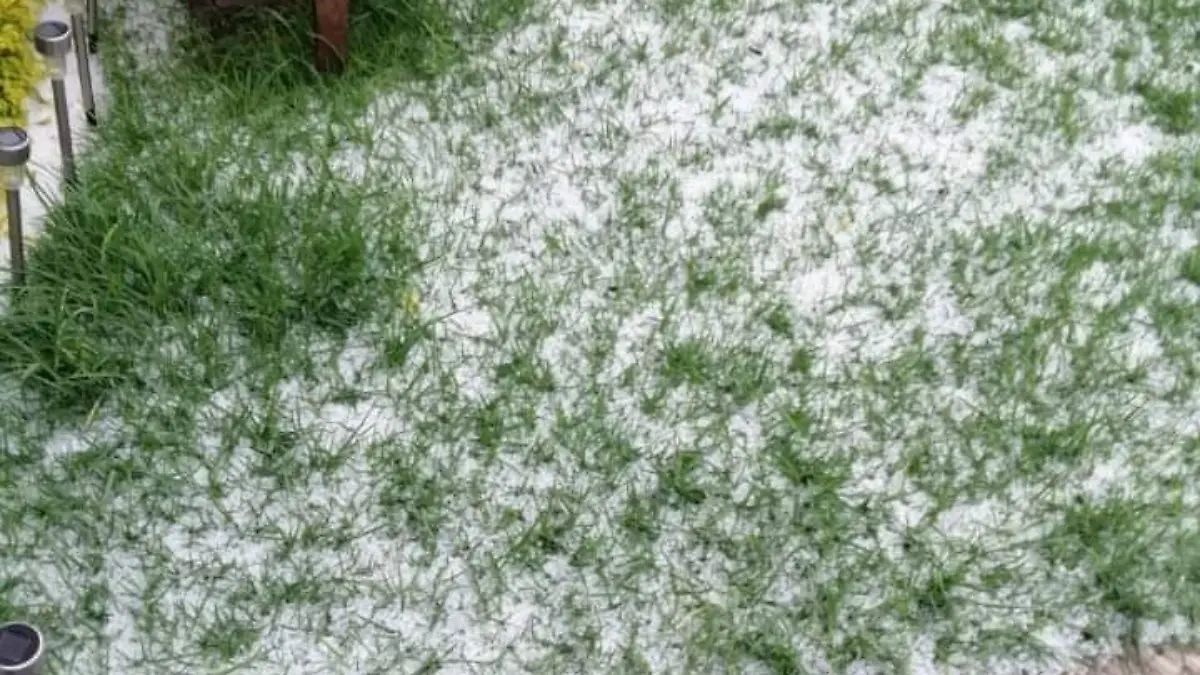 Image 2021-07-10 at 8.53.02 PM