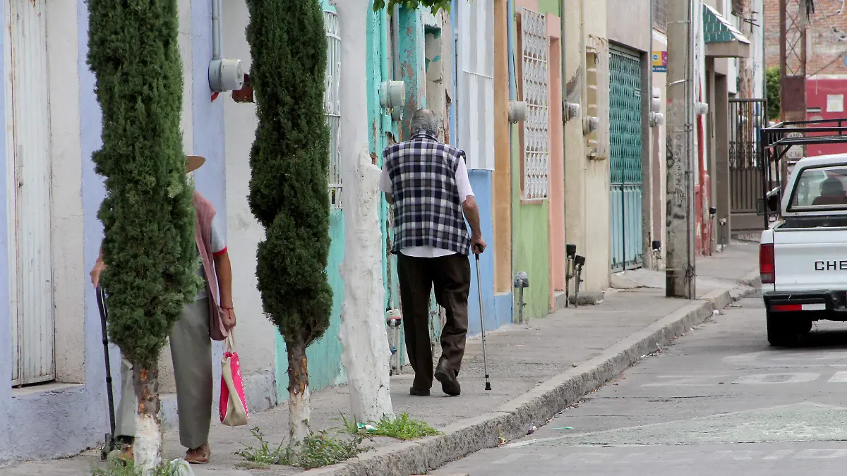 FCO MEZA-BARRIO DE SANTIAGO (11)
