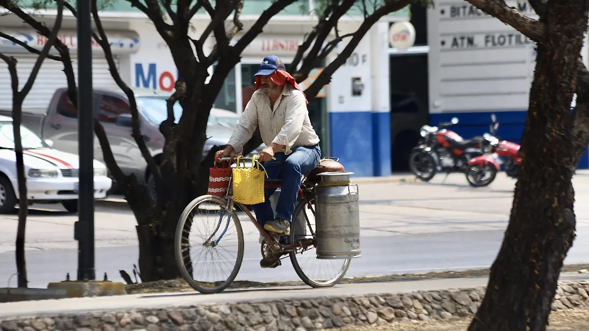 BICICLETAS - Fco Meza - El Sol de Leon (1)