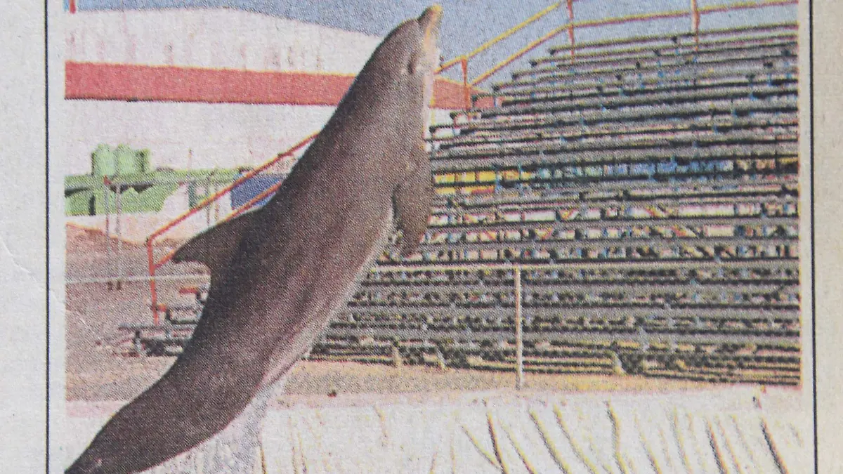 Así-era-la-Feria-de-León-en-1999 (3)