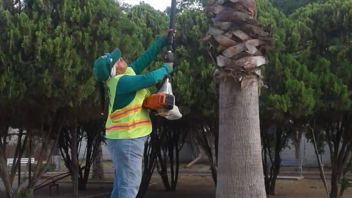 f carmona parque mexico (11)