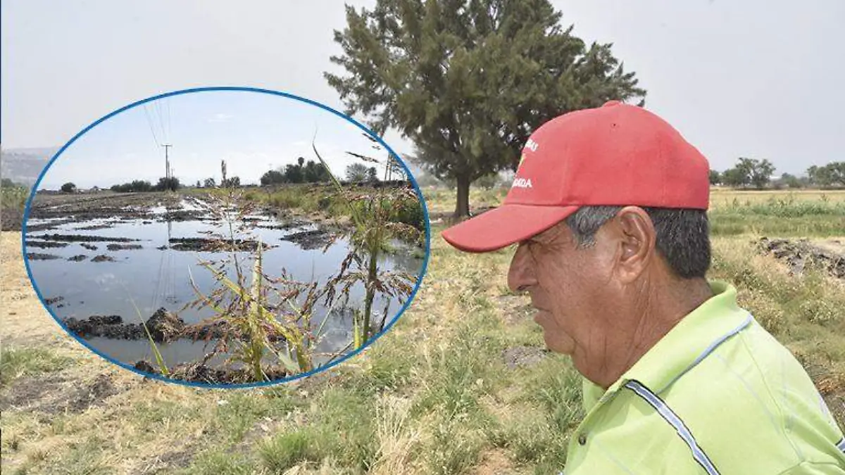 F CARMONA AGROLLUVIAS2 