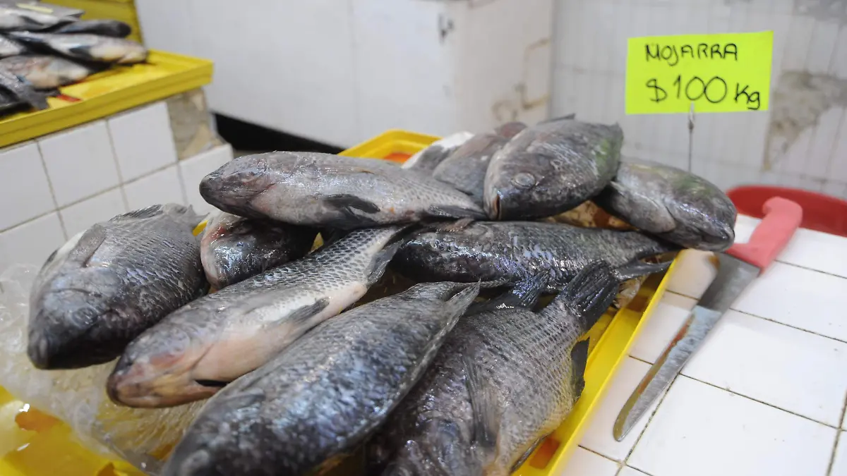 Mercado-Aldama-pescados-3