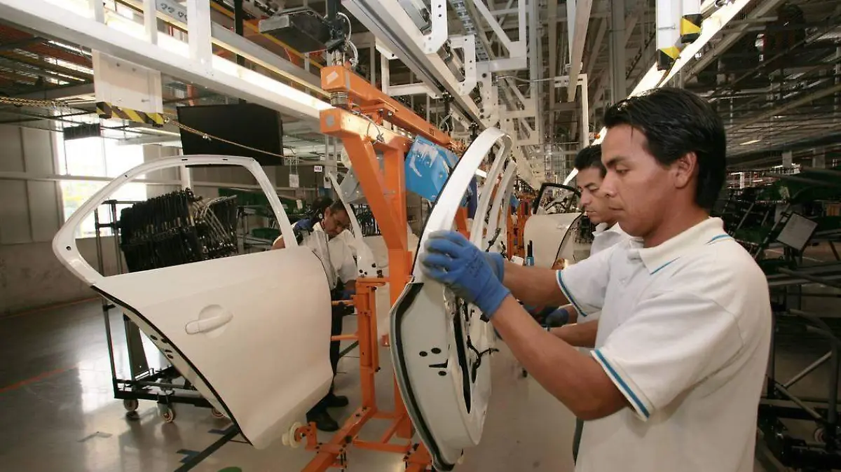 CASO VW (3)