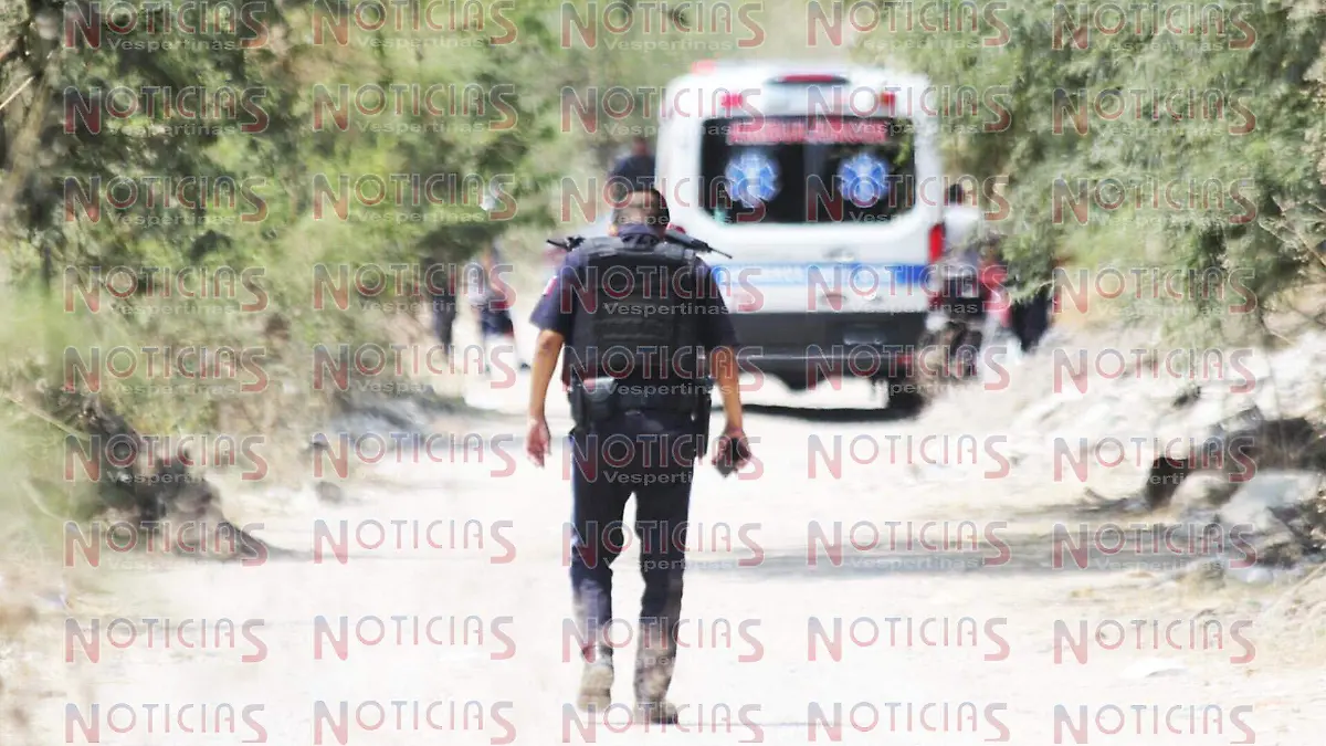 WhatsApp Image 2019-05-23 at 3.22.05 PM