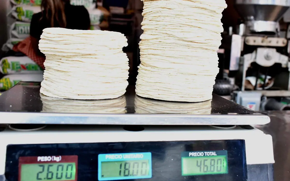 E.CAMACHO - PROFECO 3