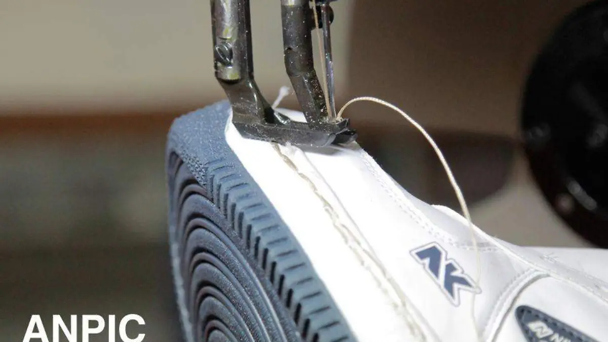 anpic tercer día (2)