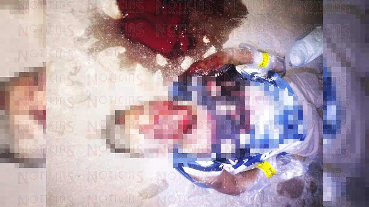 WhatsApp Image 2019-11-02 at 1.49.08 PM