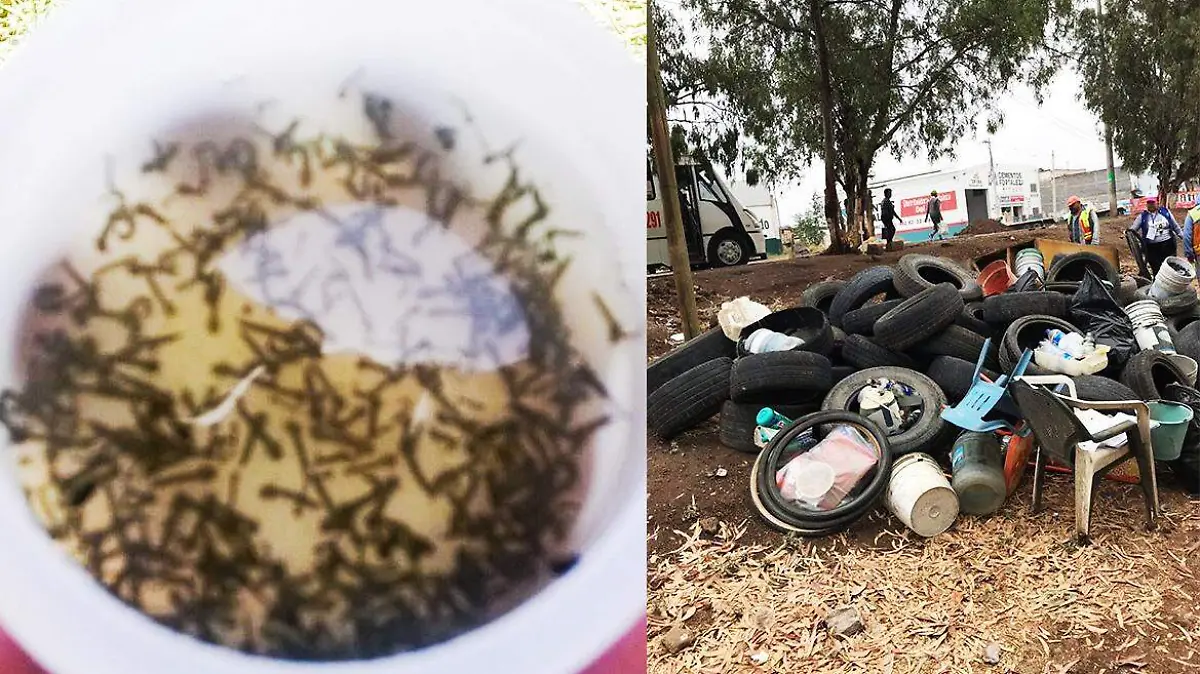 dengue movilidad (5)
