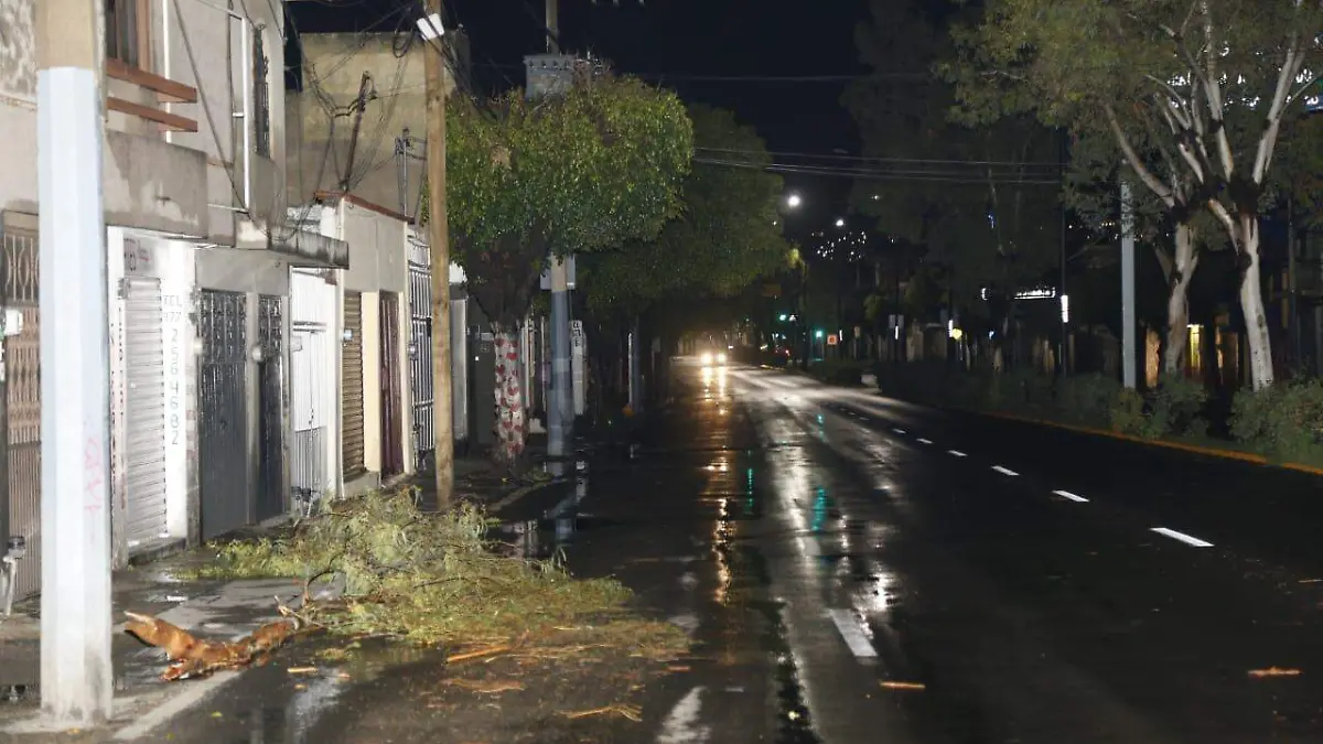 JOSE LUIS MORENO - ARBOLES (3)