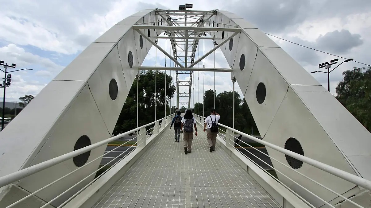 FCO MEZA - PUENTE DEL MILENIO (4)