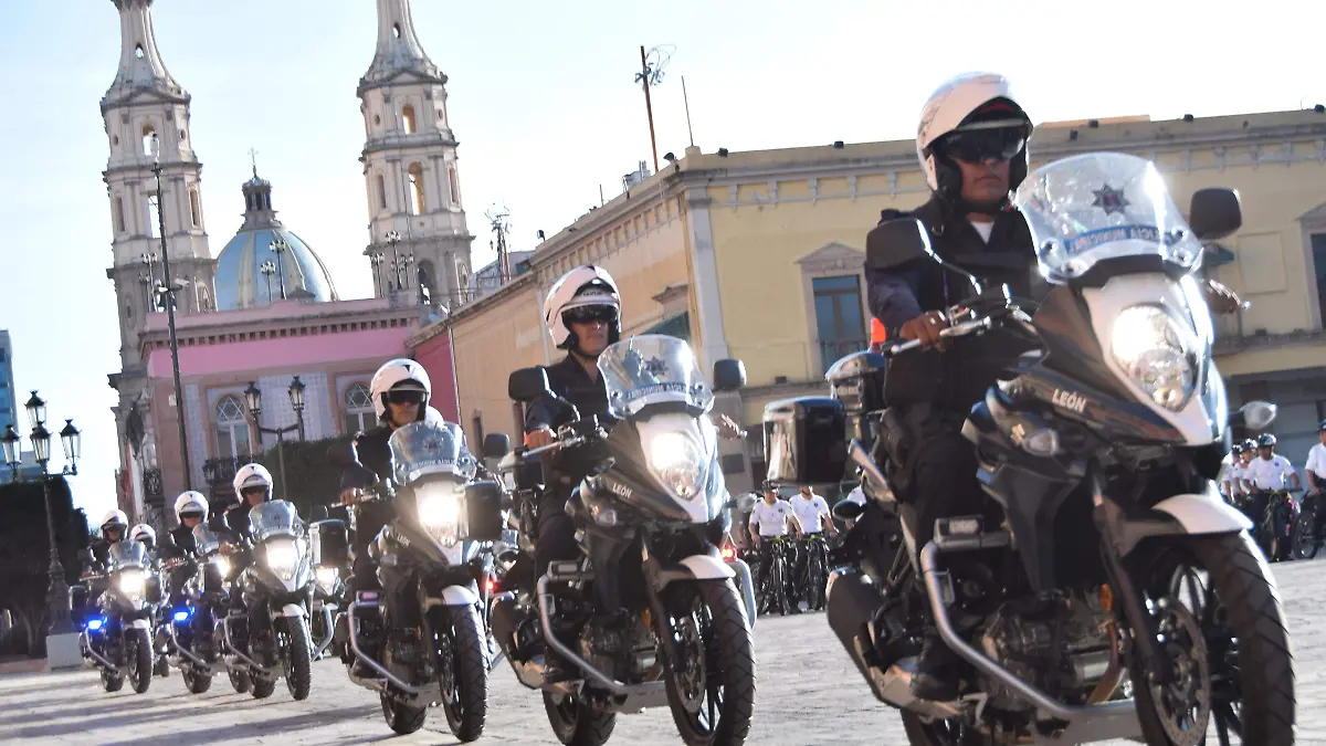 f carmona combuetible (3)