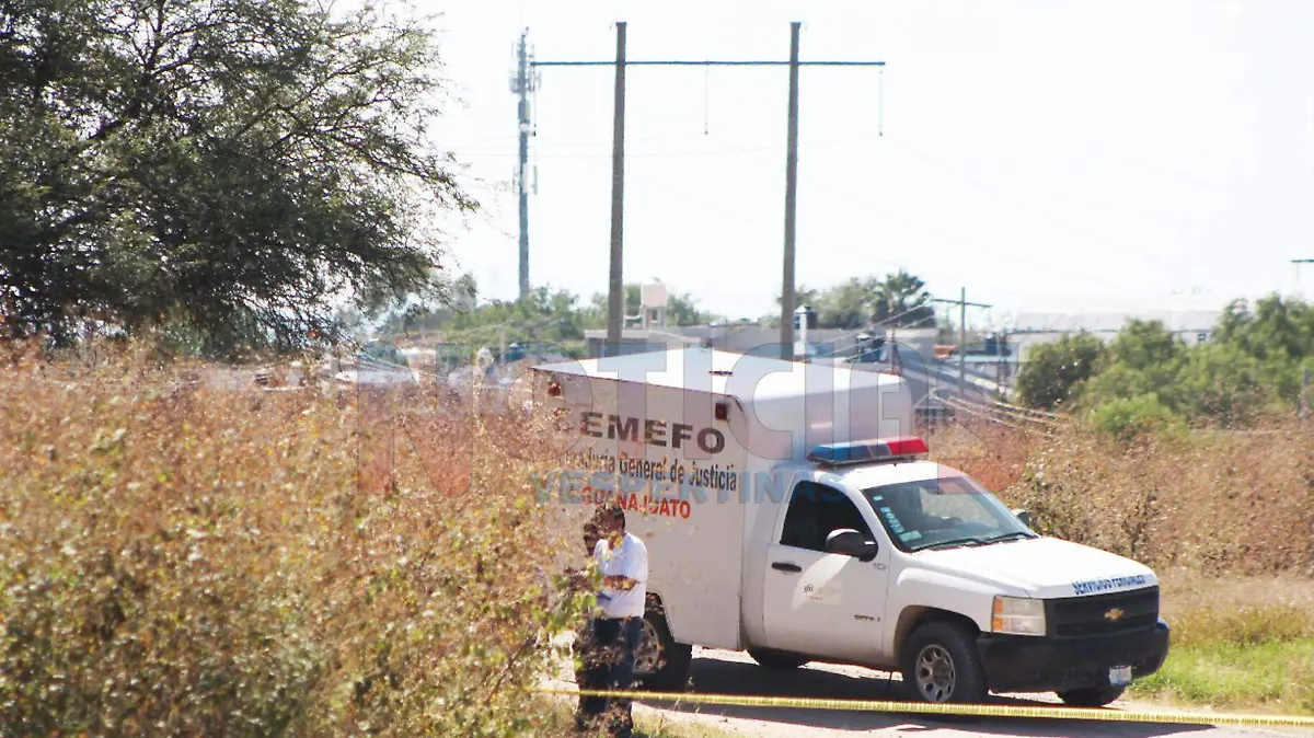 WhatsApp Image 2019-03-12 at 2.47.14 PM (1)