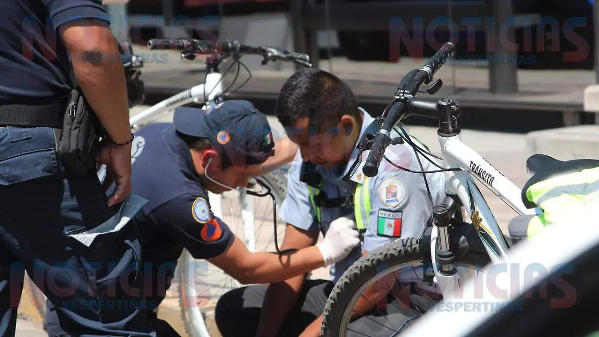 WhatsApp Image 2019-03-05 at 12.52.04 PM (1)