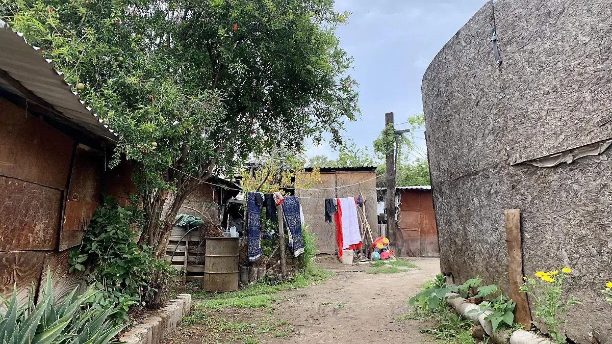 Indígenas-siembras-2