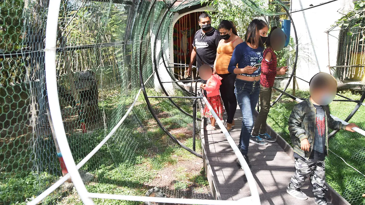 Historia-del-Zoológico-de-León2