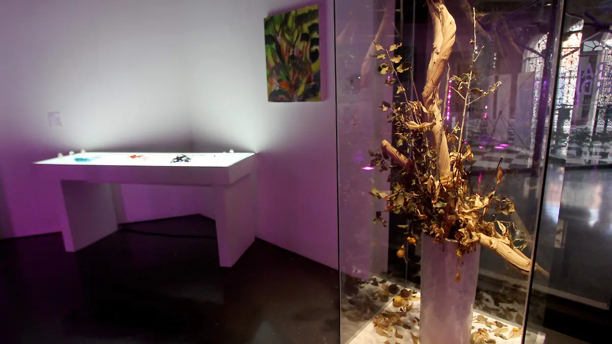 Explican-curadores-la-obra-Paraísos-Perdidos3