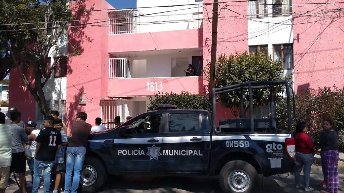 CAIDO (2)