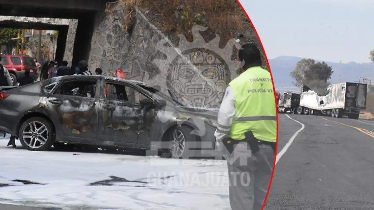 WhatsApp Image 2021-01-24 at 5.28.32 PM (1)