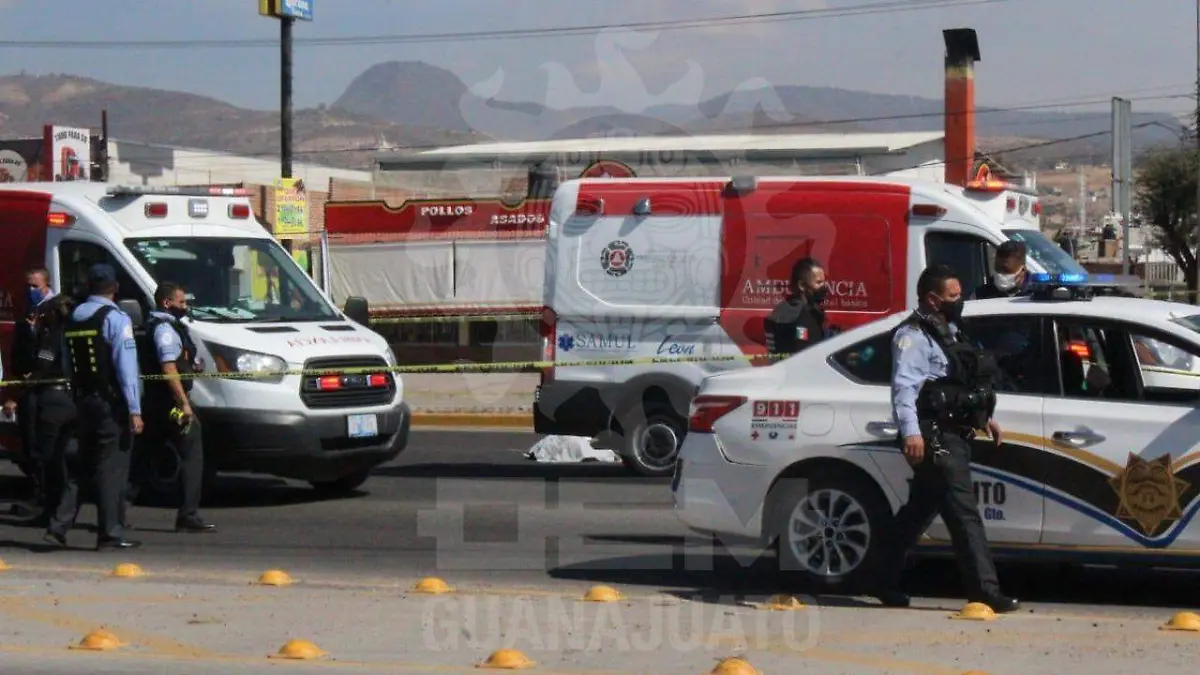 WhatsApp Image 2020-12-20 at 3.03.11 PM