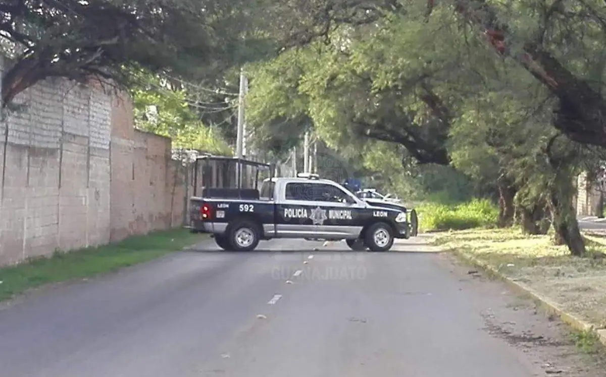 WhatsApp Image 2021-02-10 at 9.46.37 AM