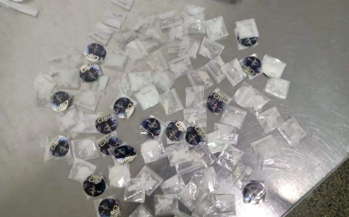 los castillos (2) (1)