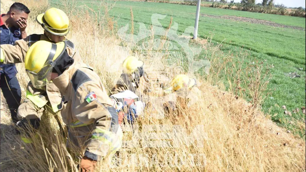 WhatsApp Image 2021-01-06 at 1.35.45 PM (1)