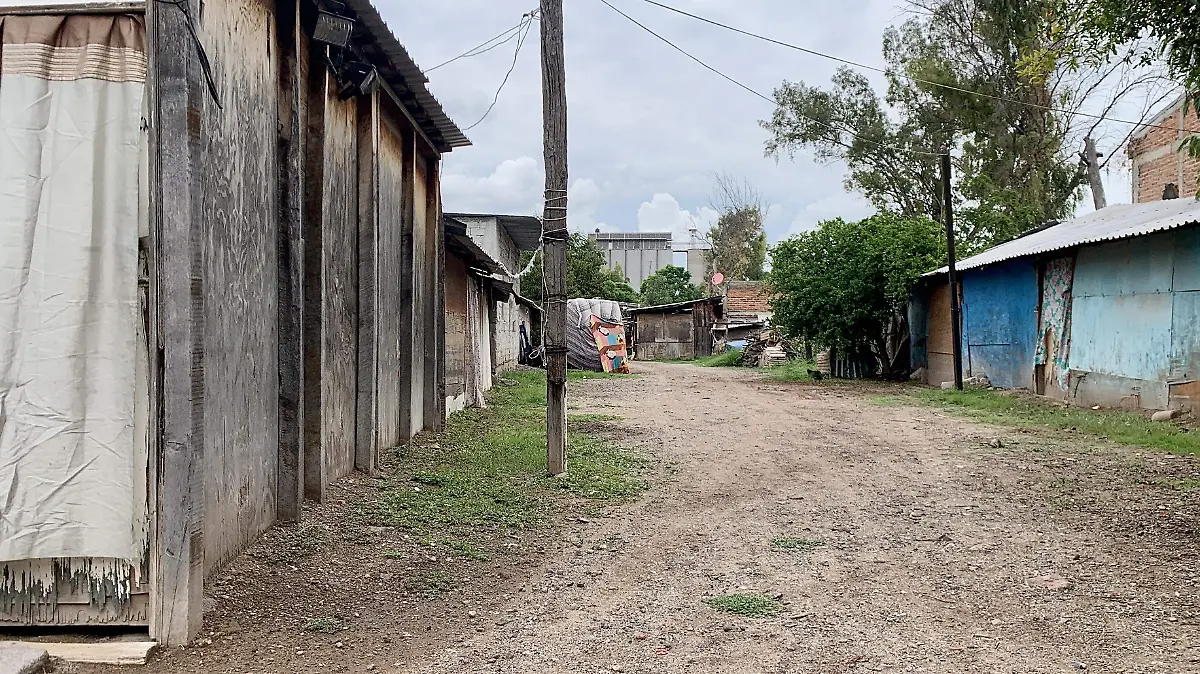 Indígenas-siembras-3