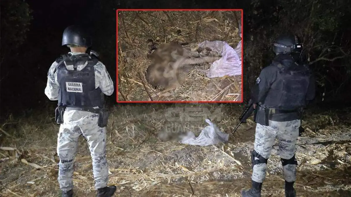 WhatsApp Image 2021-01-31 at 7.53.21 PM