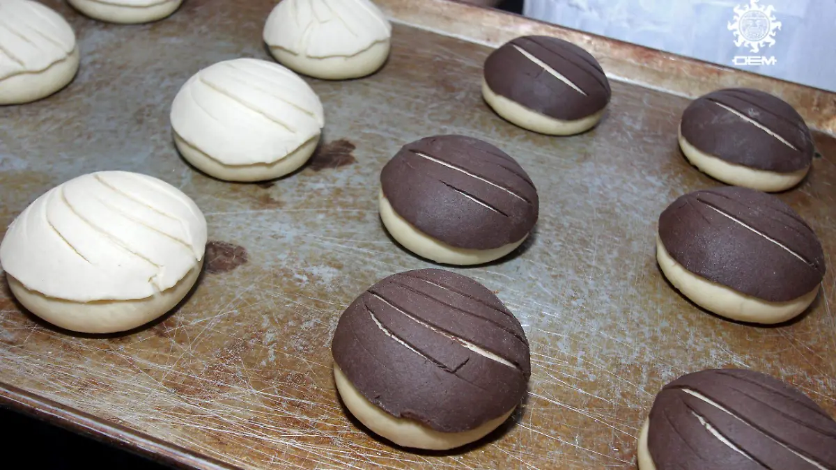 FCO MEZA - PANADERIAS (6)