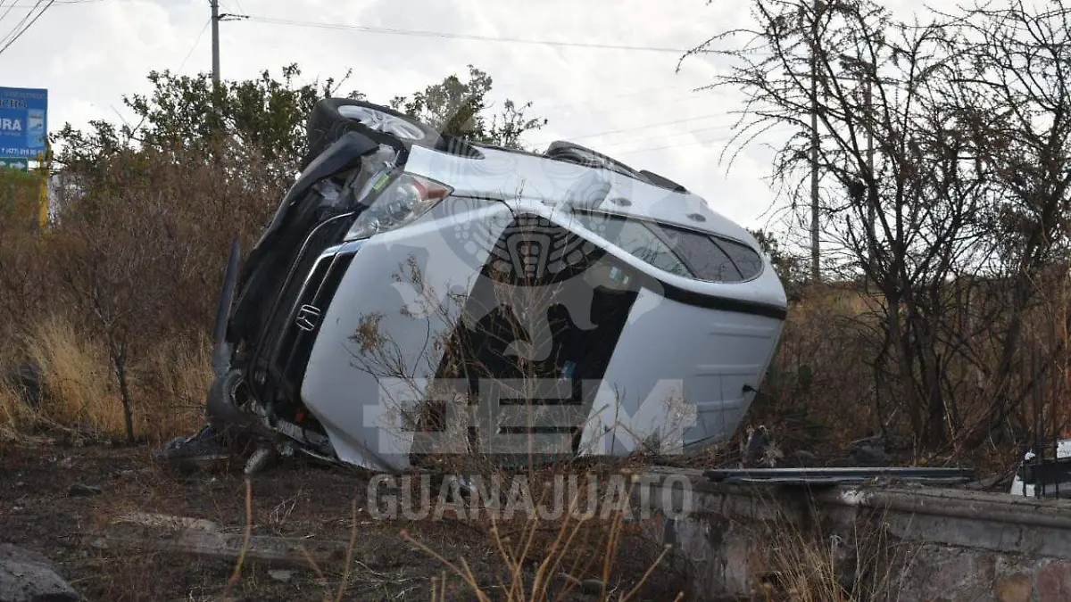 WhatsApp Image 2021-01-09 at 2.22.48 PM