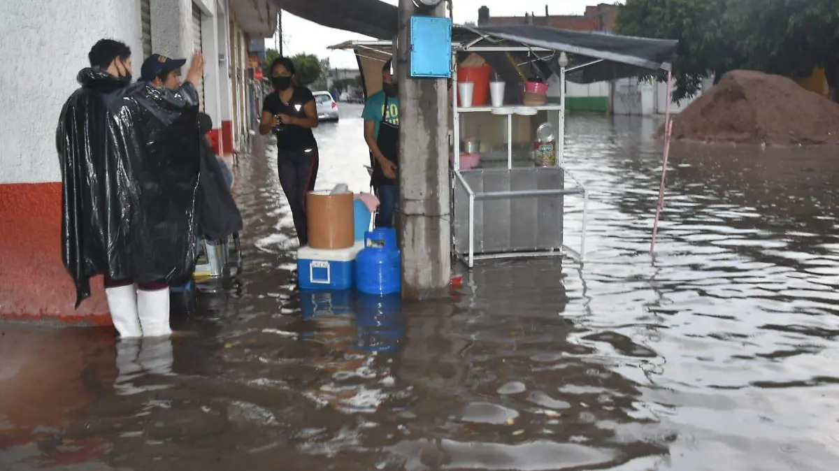 Image 2021-07-10 at 7.46.22 PM