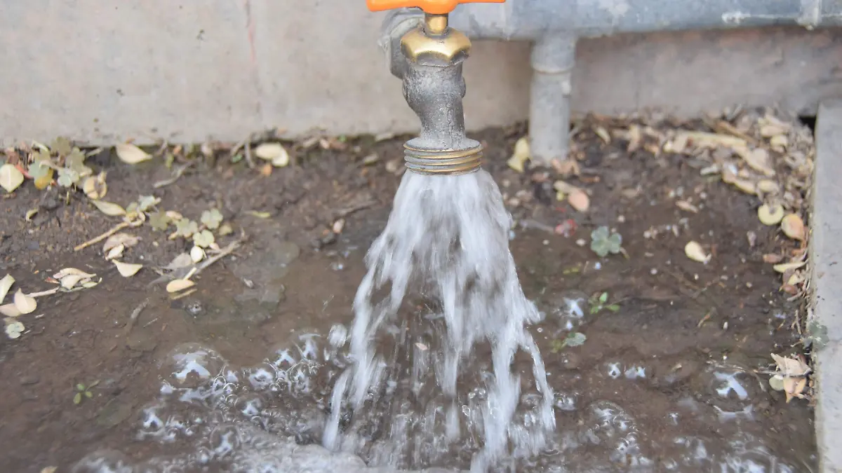 FCO CARMONA - AGUA (3)