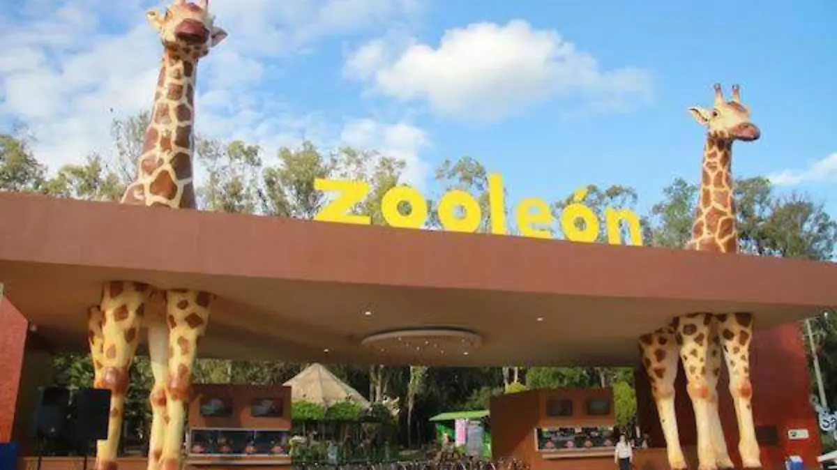 9ed555c08760754028aa96fecaf114b0