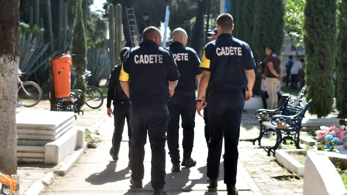 OPERATIVO (3)