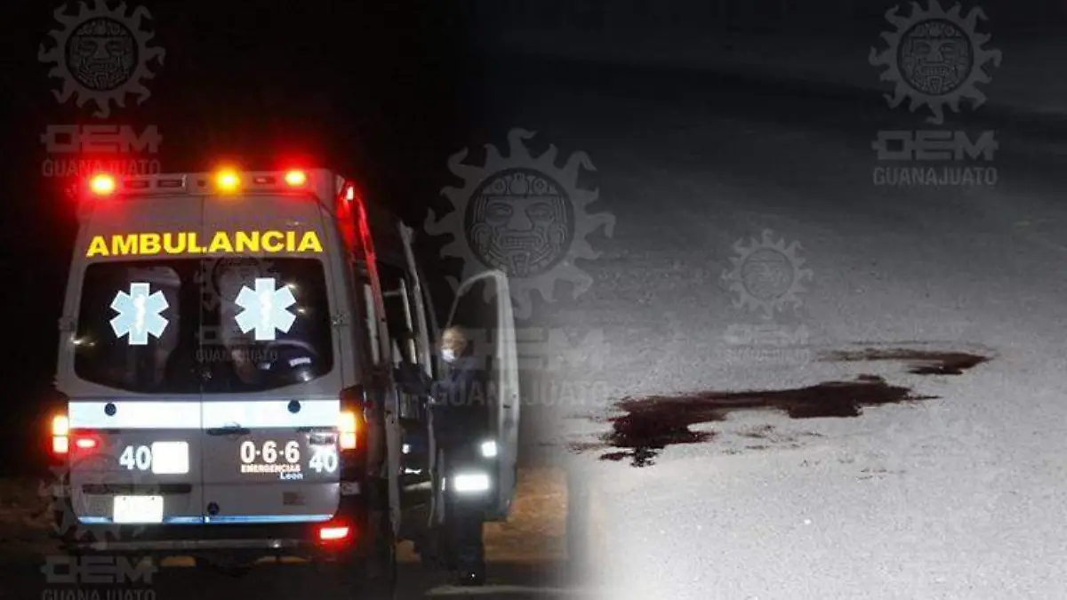 WhatsApp Image 2021-03-17 at 8.11.11 AM