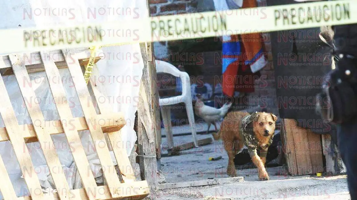 WhatsApp Image 2020-03-30 at 7.50.09 PM