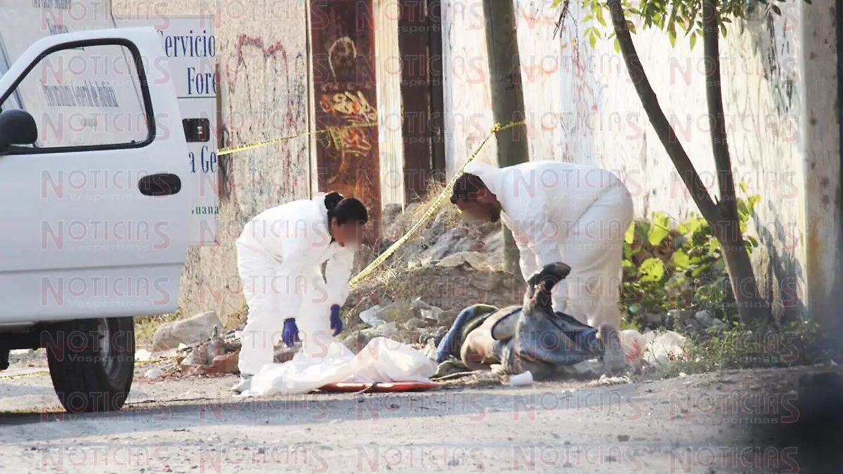 WhatsApp Image 2019-05-10 at 8.55.11 AM