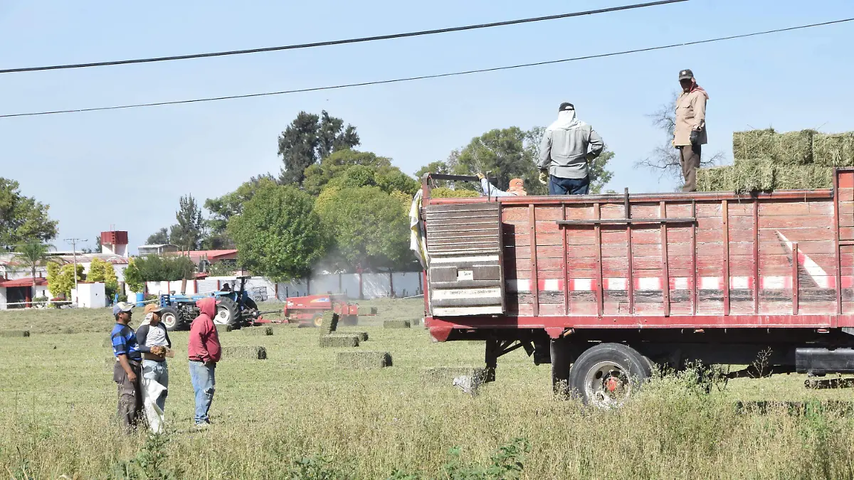 F.CARMONA - PRODUCTORES (2)