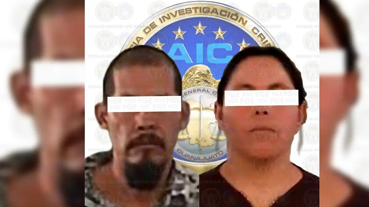 WhatsApp Image 2020-12-11 at 2.31.40 PM