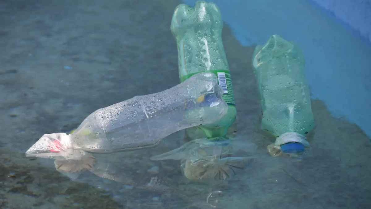 f carmona panteones (7)